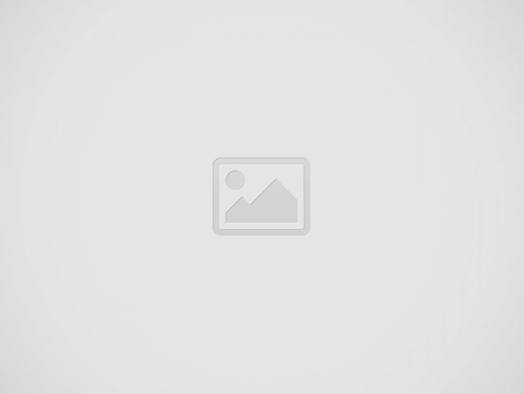 地中海料理: シンプルなディナーブックツアーとイベント